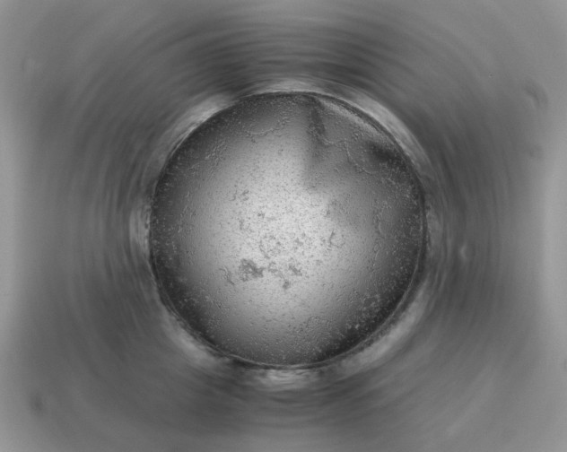 X0000115060857200911091445