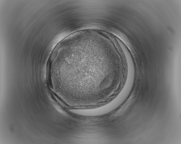 X0000115060858200911091445