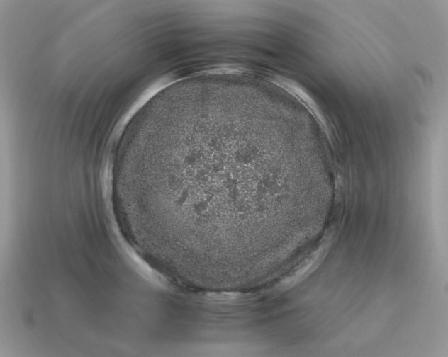 X0000115060859200911091445