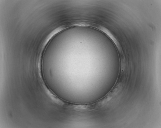 X0000115060861200911091445
