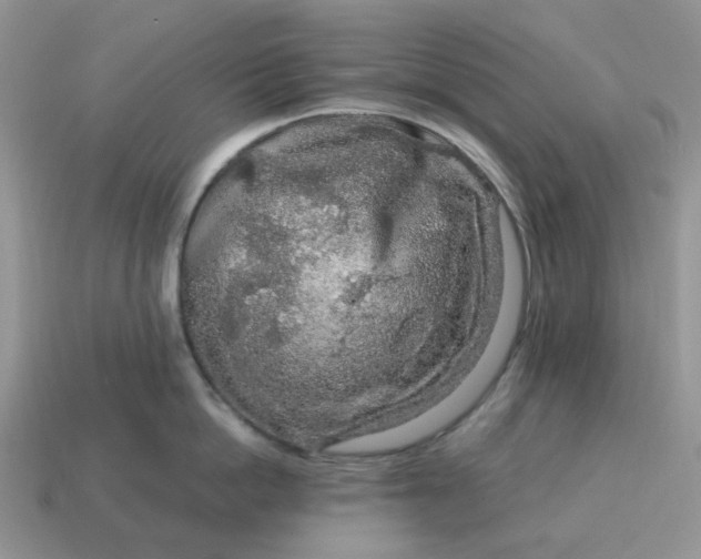 X0000115060862200911091445