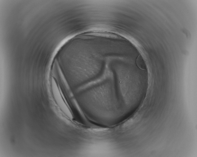 X0000115060864200911091445