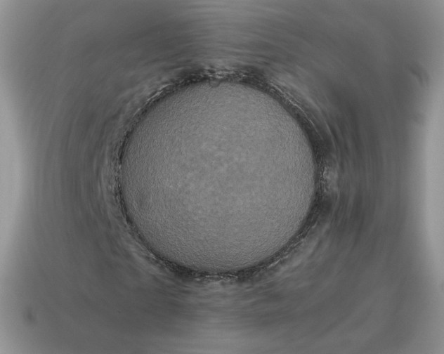X0000115060865200911091444