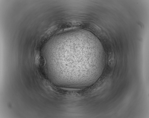 X0000115060866200911091444