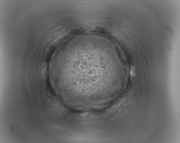X0000115060867200911091444