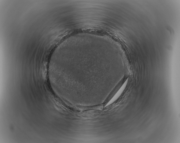 X0000115060868200911091444