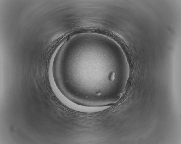 X0000115060869200911091444