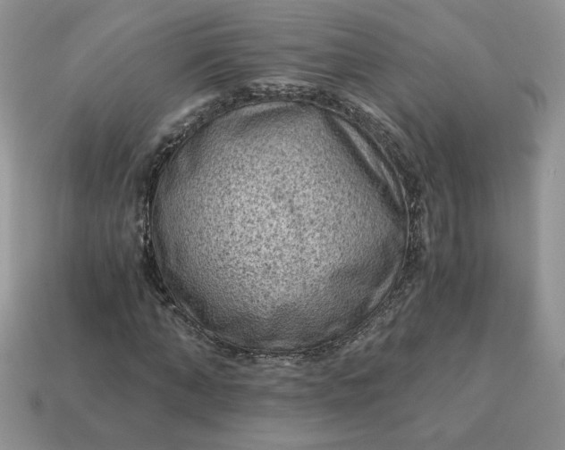 X0000115060870200911091444