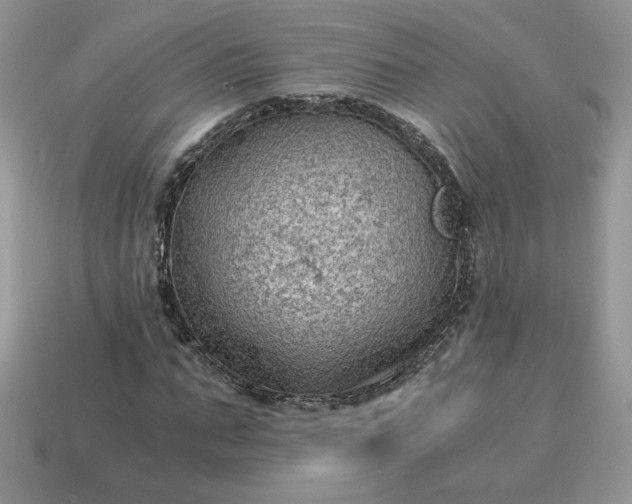 X0000115060871200911091444