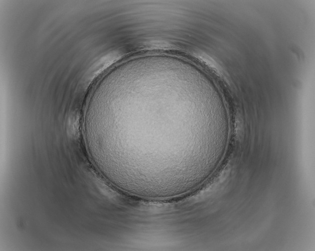 X0000115060873200911091444