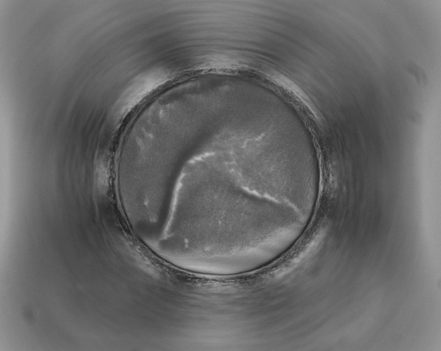 X0000115060874200911091444