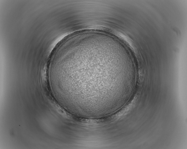 X0000115060875200911091444