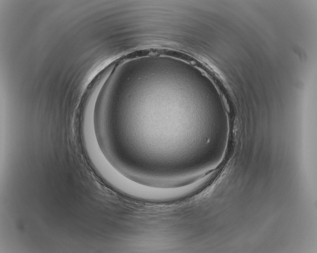 X0000115060877200911091444