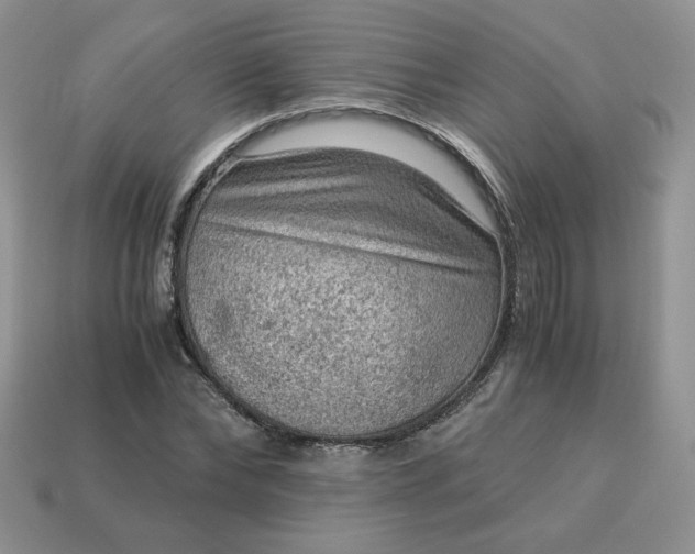 X0000115060878200911091444