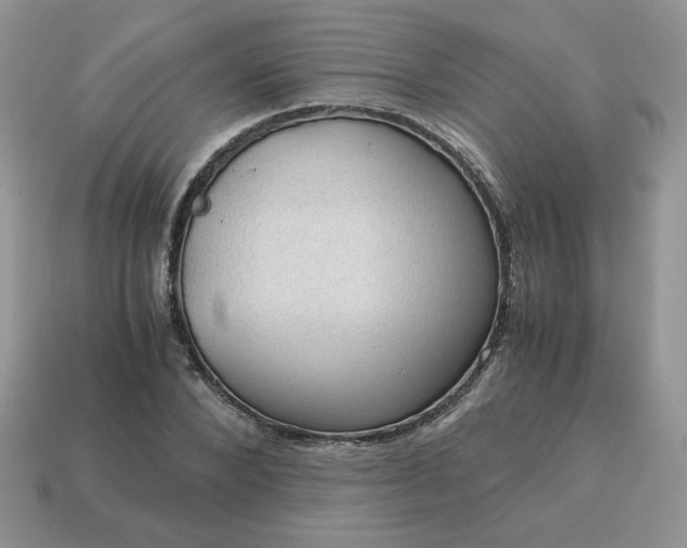 X0000115060880200911091444