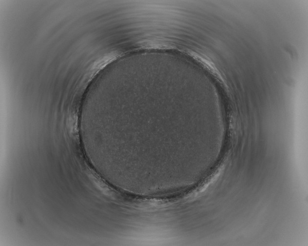 X0000115060881200911091444