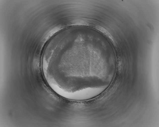 X0000115060882200911091444