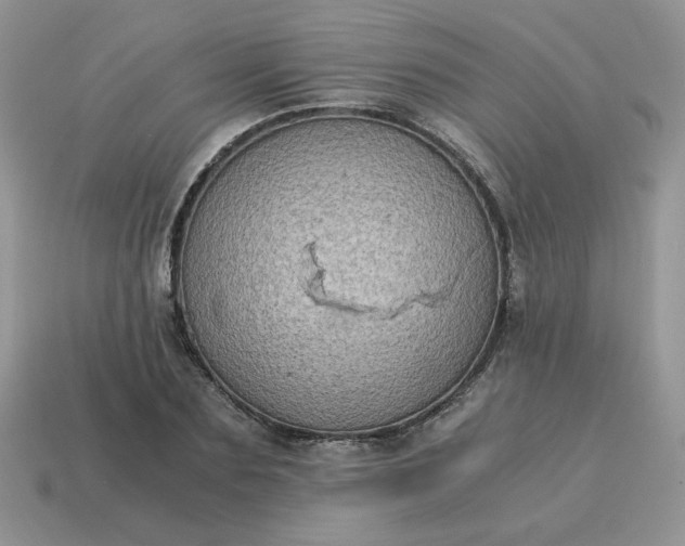 X0000115060883200911091444