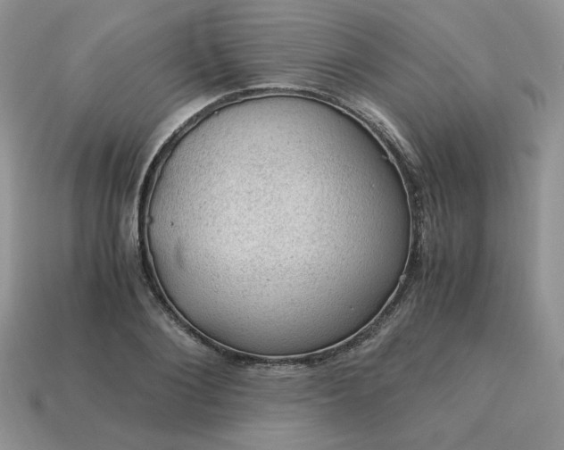X0000115060884200911091444