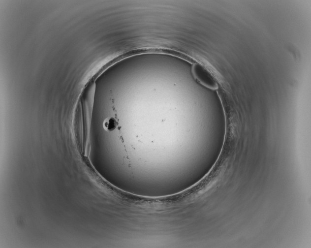 X0000115060885200911091444