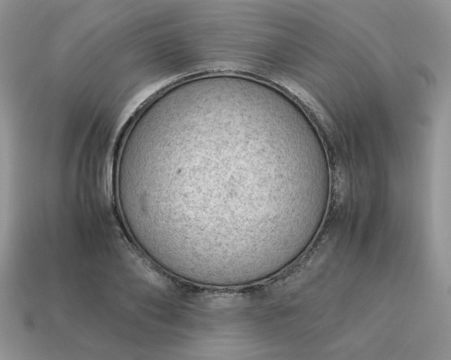 X0000115060886200911091444