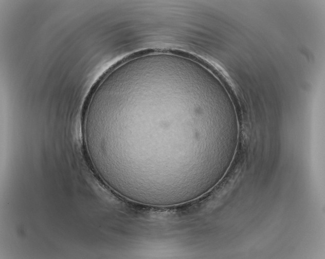 X0000115060887200911091444