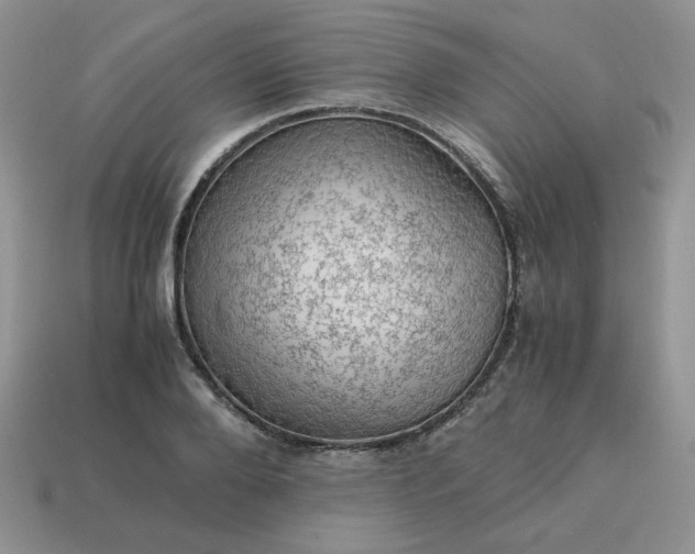 X0000115060888200911091444