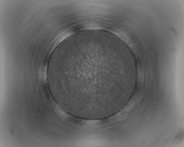 X0000115060889200911091444