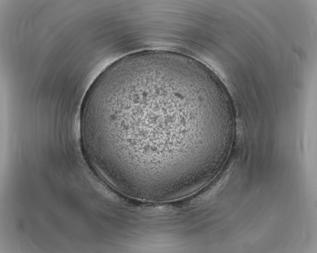 X0000115060891200911091444