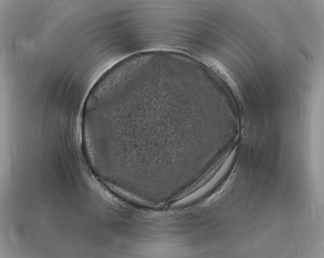 X0000115060892200911091444