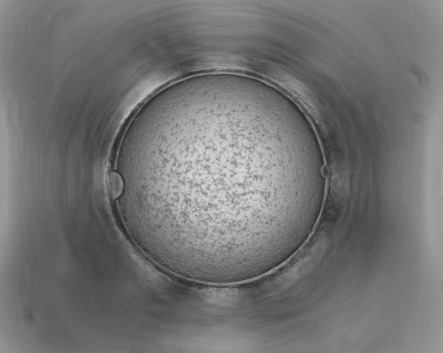 X0000115060893200911091444