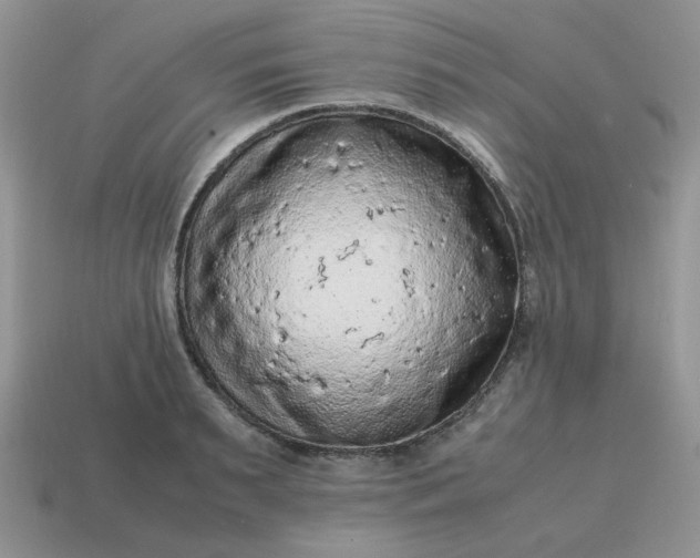 X0000115060895200911091444