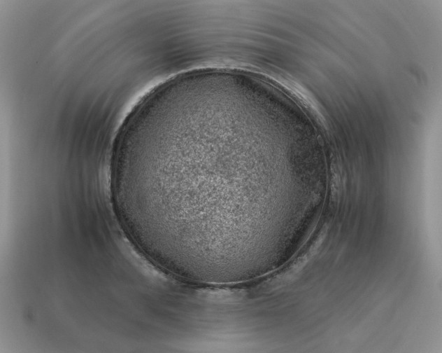 X0000115060896200911091444