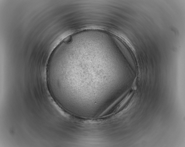 X0000115060898200911091444
