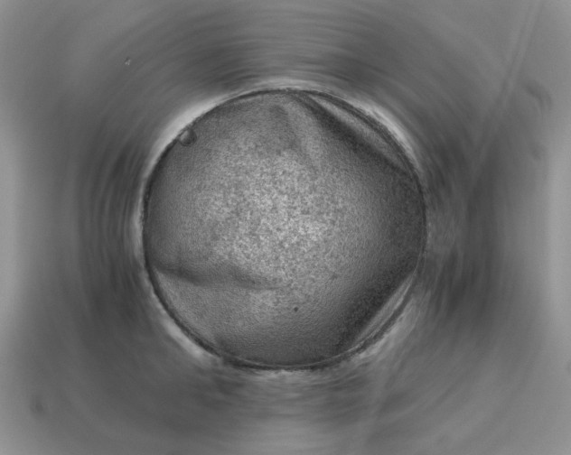 X0000115060902200911091444
