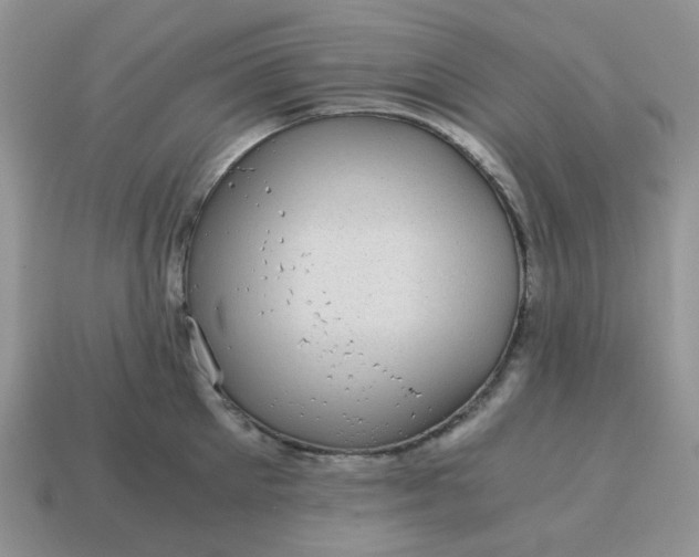 X0000115060905200911091444