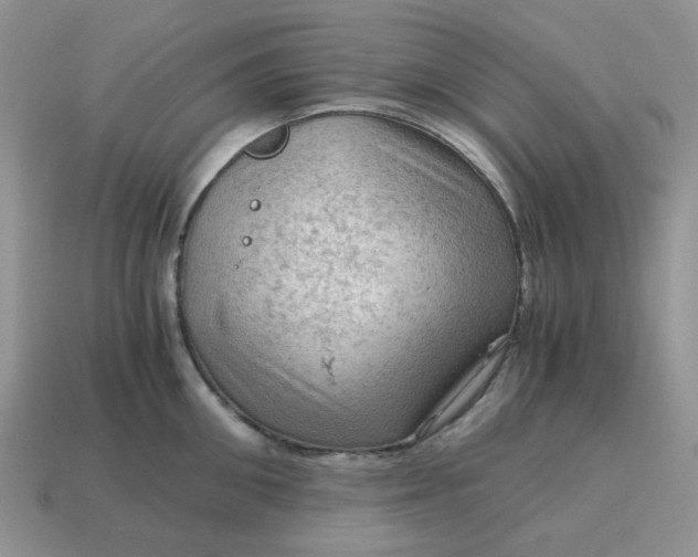 X0000115060906200911091444