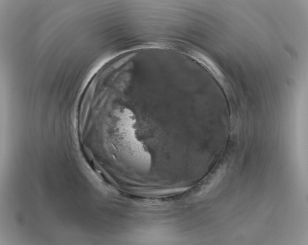 X0000115060907200911091444