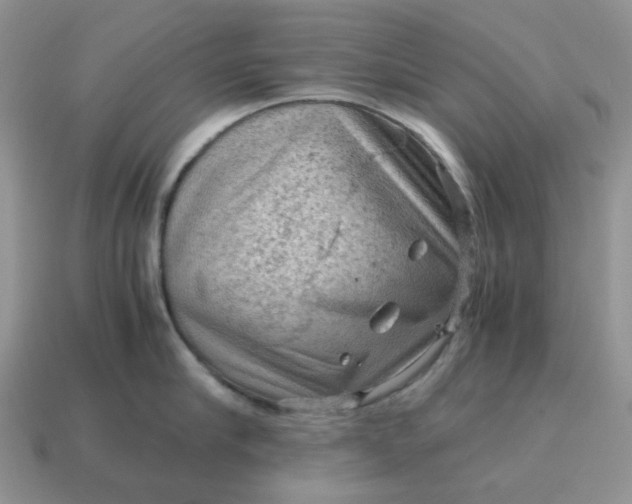 X0000115060910200911091444