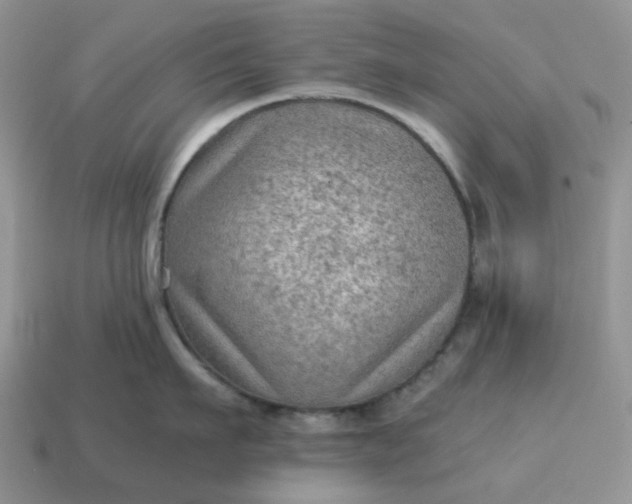 X0000115060911200911091444
