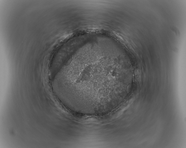 X0000115060913200911091443