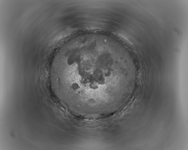 X0000115060917200911091443