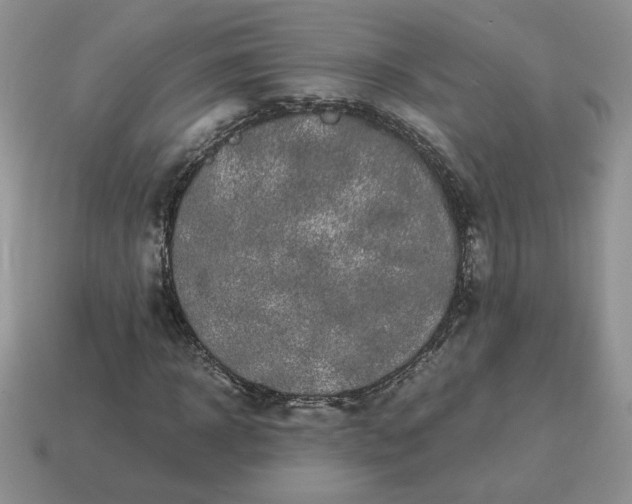 X0000115060918200911091443