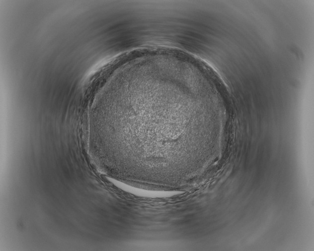 X0000115060919200911091443