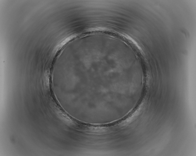 X0000115060921200911091443