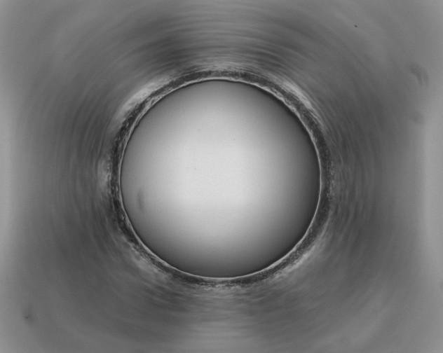 X0000115060922200911091443