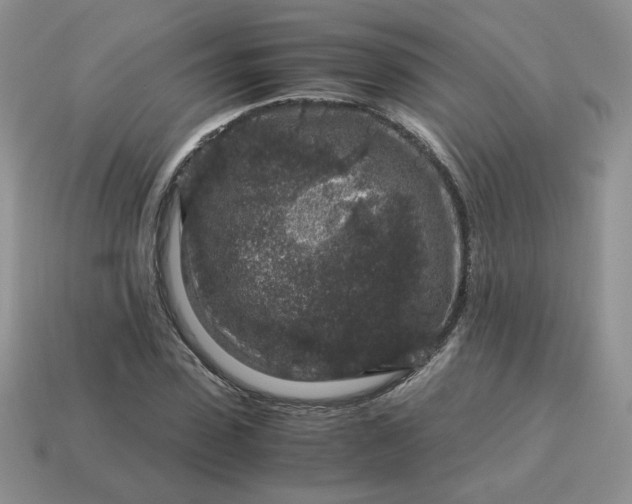 X0000115060923200911091443