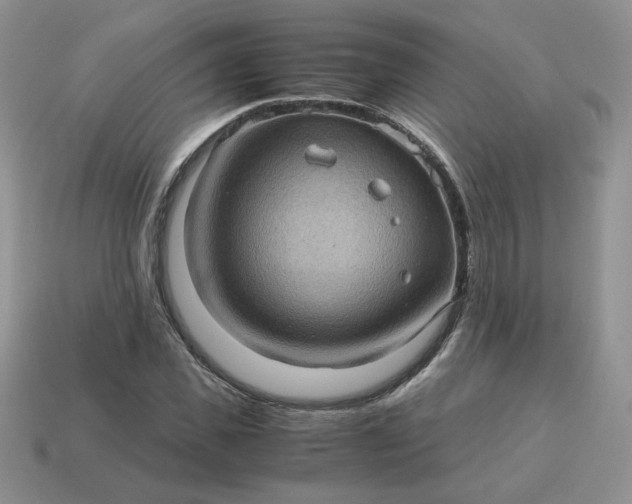 X0000115060925200911091443