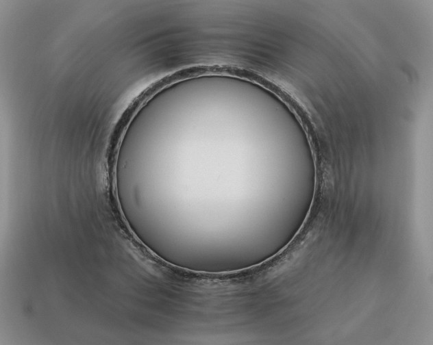 X0000115060927200911091443