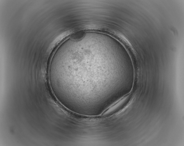 X0000115060930200911091443